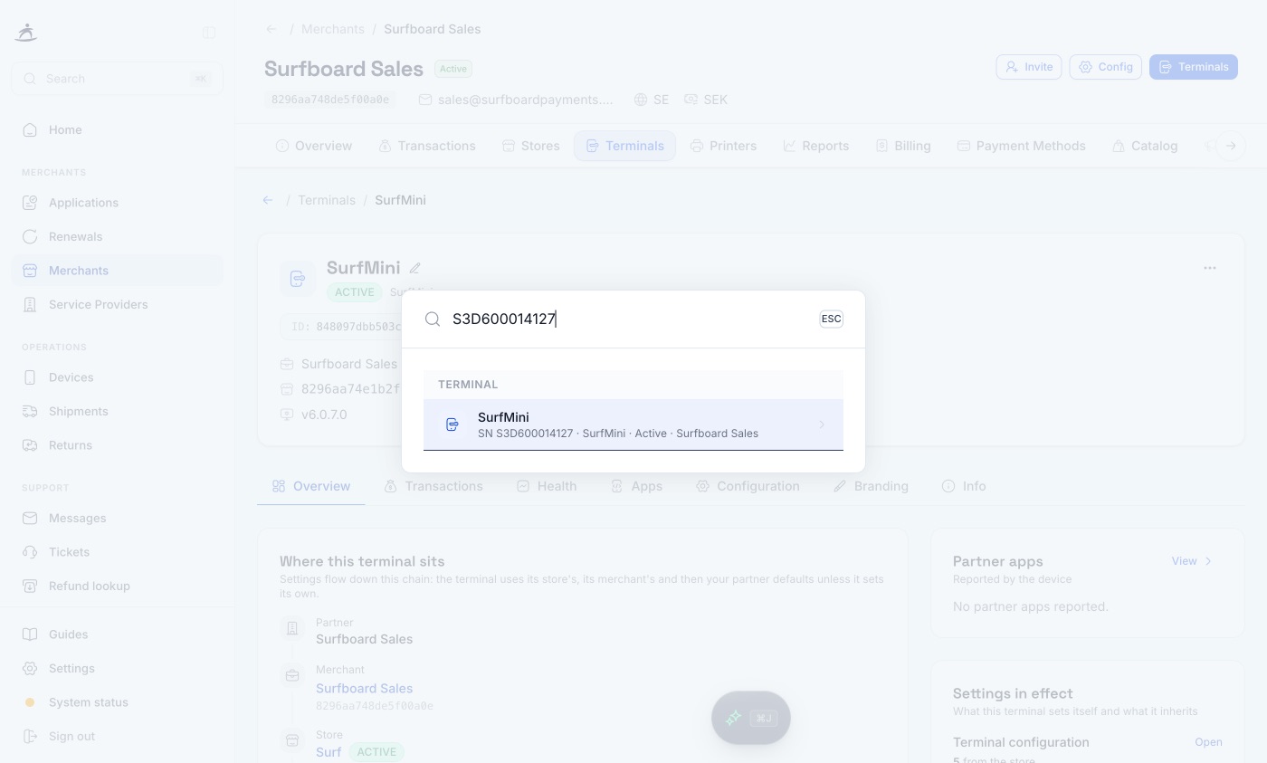 Global search finding a terminal by its serial number